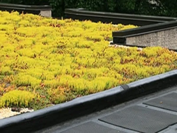 Rubber roof system for green roofs
